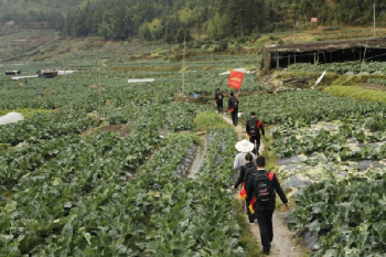 福建農(nóng)信：牢記囑托，為決戰(zhàn)決勝脫貧攻堅與成果拓展鞏固注入金融動能